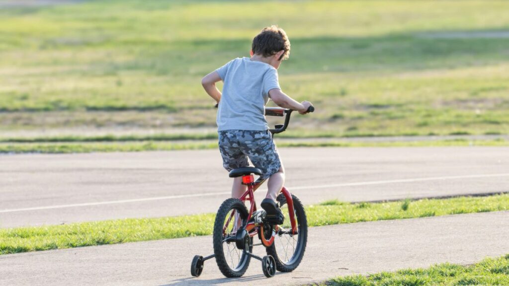 Journey from Early Intervention to Lifelong Independence
